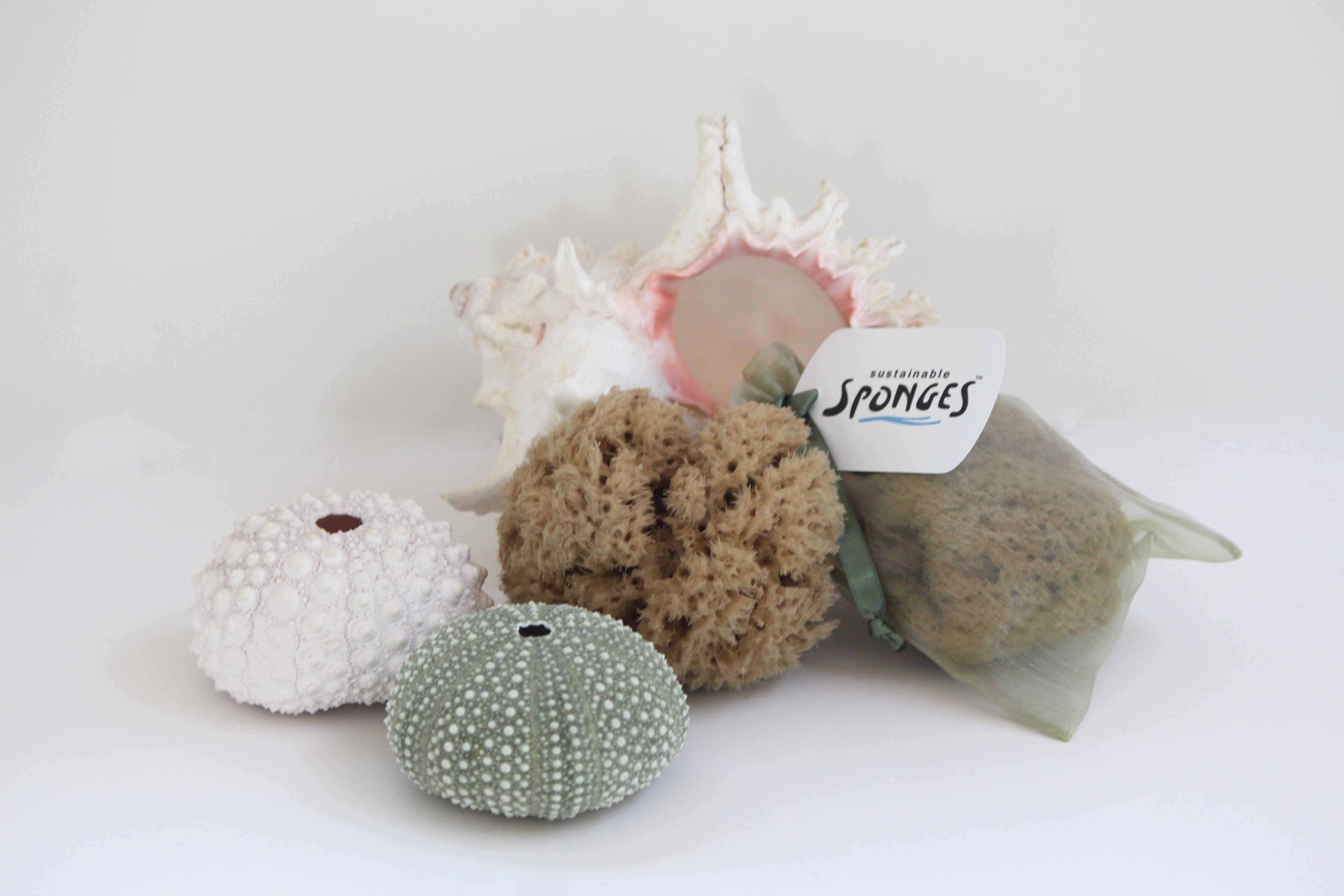 Wool Bath Sponges